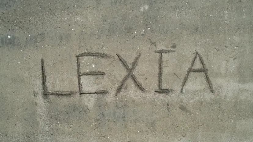 LEXIA team discussing with clients